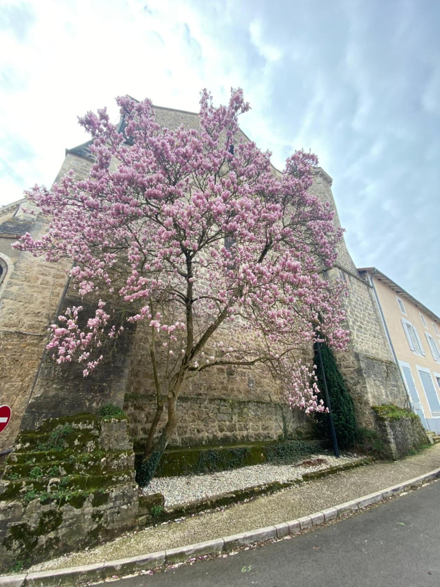 Logis Hotel Le Saint Georges Vivonne المظهر الخارجي الصورة